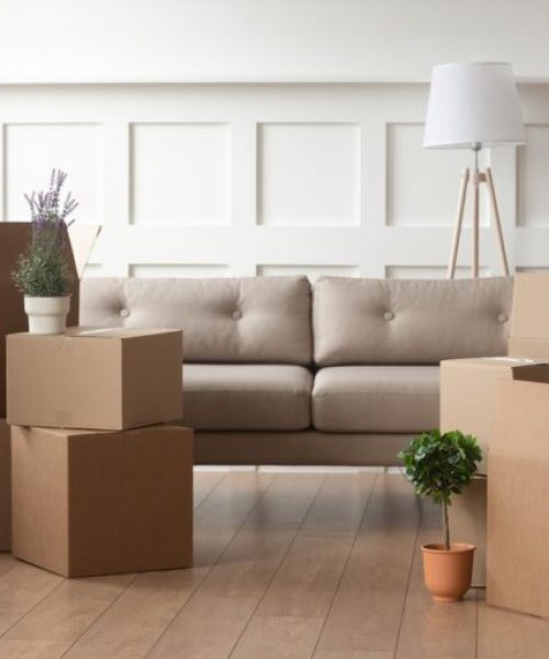 banner-salon-mudanza-768x512